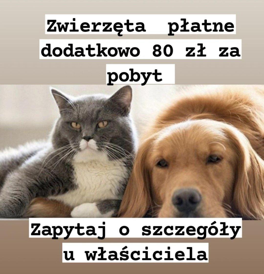 5Centrum Stanislawa Moniuszki10 Wi-Fi 1Gb Sek Варшава Экстерьер фото